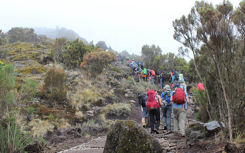 Kilimanjaro day hike