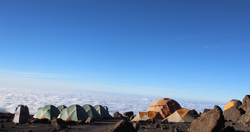 kilimanjaro national park