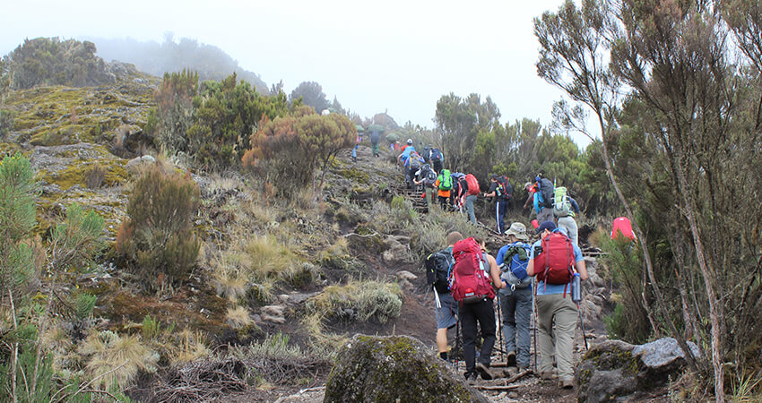 kilimanjaro hike